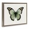 Stupell Industries Green Symmetrical Butterfly Framed Floater Canvas Wall Art Design by Elizabeth Medley